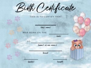 Psd templates for certificates — галерија