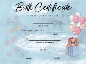 Psd templates for certificates — галерија