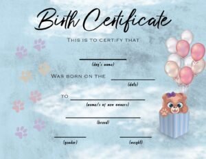 Psd templates for certificates — галерија