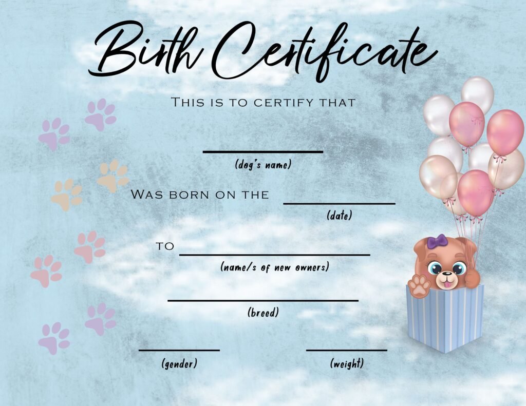 Psd templates for certificates — главна слика