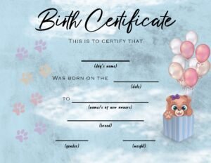 Psd templates for certificates — главна слика